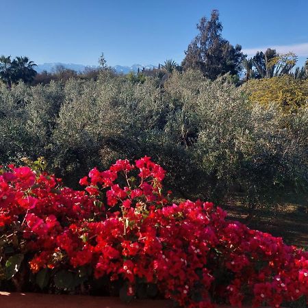 Manzal Lahbab Bed and Breakfast Μαρακές Εξωτερικό φωτογραφία