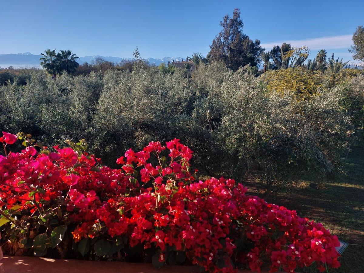 Manzal Lahbab Bed and Breakfast Μαρακές Εξωτερικό φωτογραφία